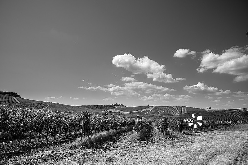 天空映衬下的农田风景图片素材