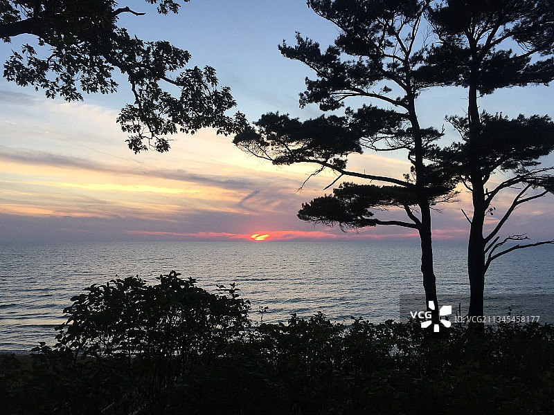 美国密歇根州大哈芬日落时分天空下的海边树木轮廓图片素材
