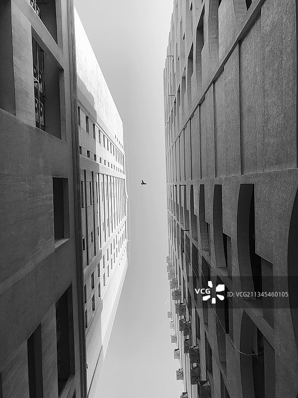 晴空下建筑物的仰视视角图片素材