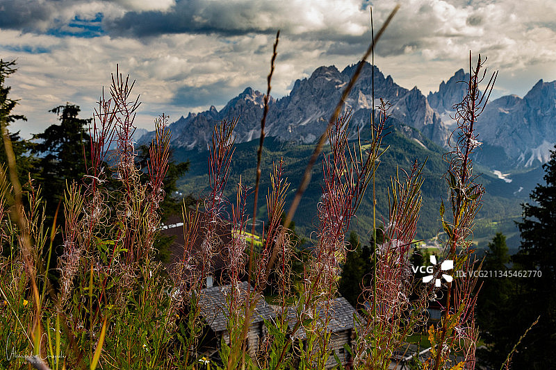 意大利塞斯托埃尔莫山树木和山脉全景图片素材