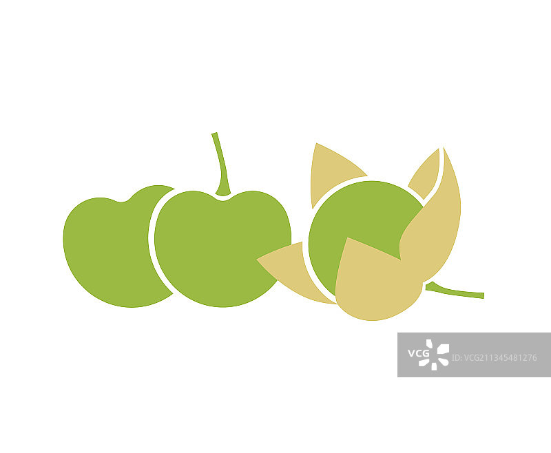 绿色酸浆果扁平设计图片素材