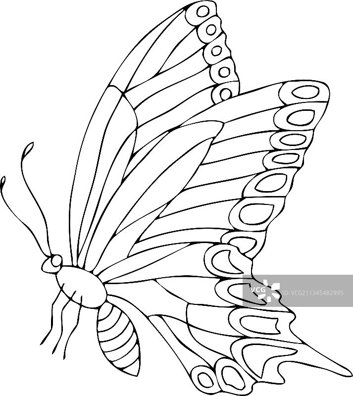 白色背景上的孤立黑白蝴蝶图片素材