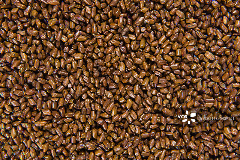 中药材决明子背景图片素材