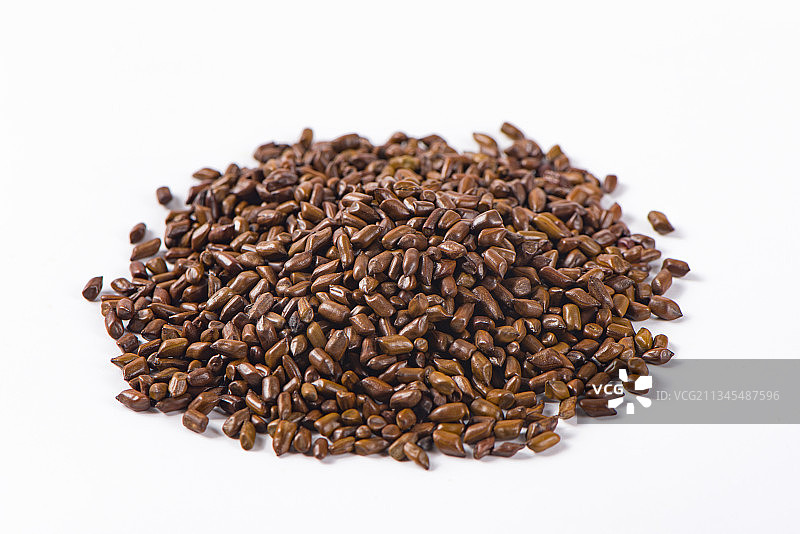 白色背景上的决明子图片素材