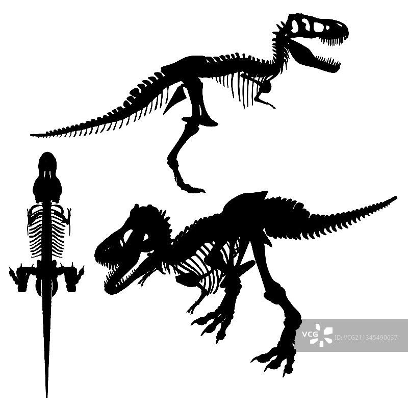 恐龙骨骼剪影素材图片素材