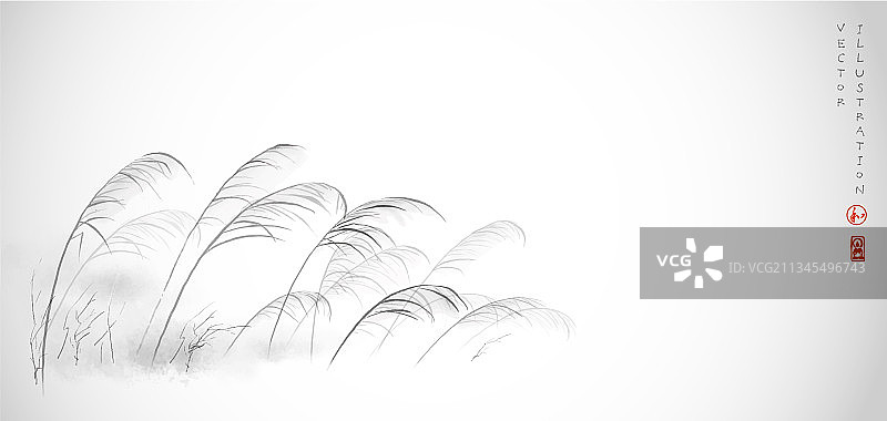 白色背景上手绘墨水树叶草图片素材