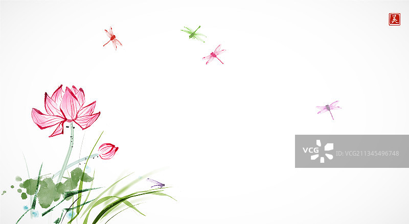 莲花、绿草与小蜻蜓图片素材