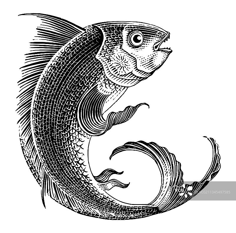 手绘复古雕刻跃海鱼图片素材