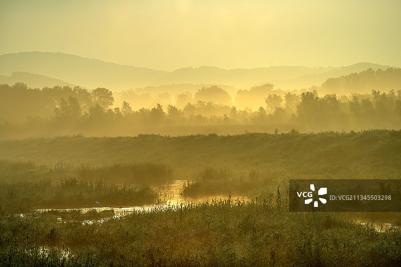 乡村-晨雾-湿地-田野图片素材