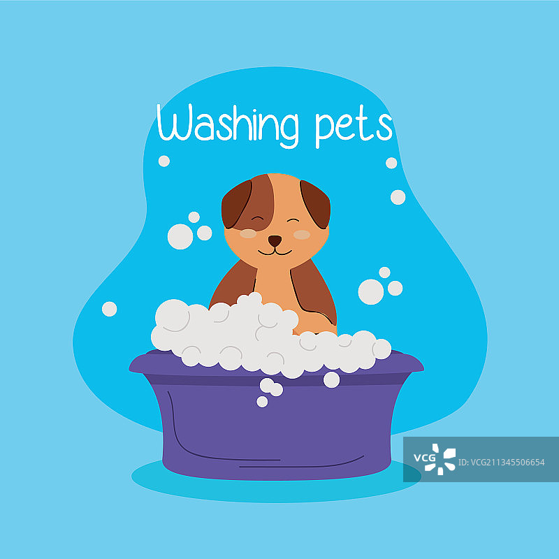 可爱的狗狗洗澡图片素材
