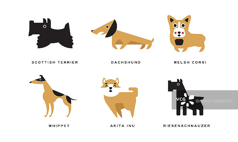 扁平风格的苏格兰犬图片素材