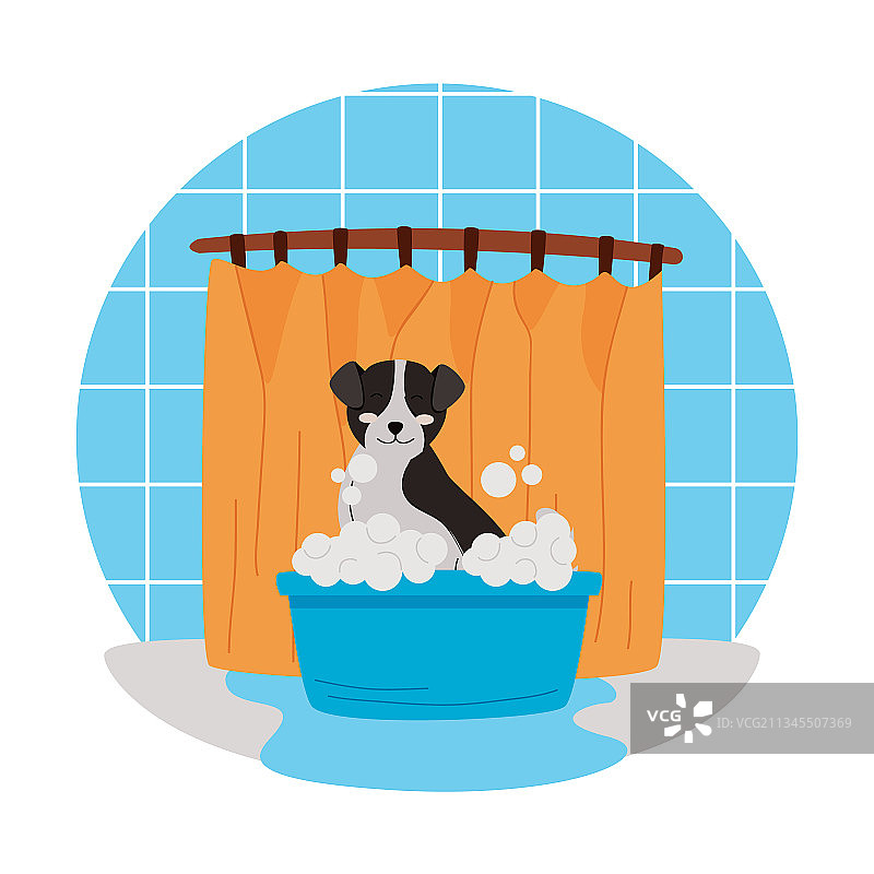 可爱的宠物洗澡图片素材