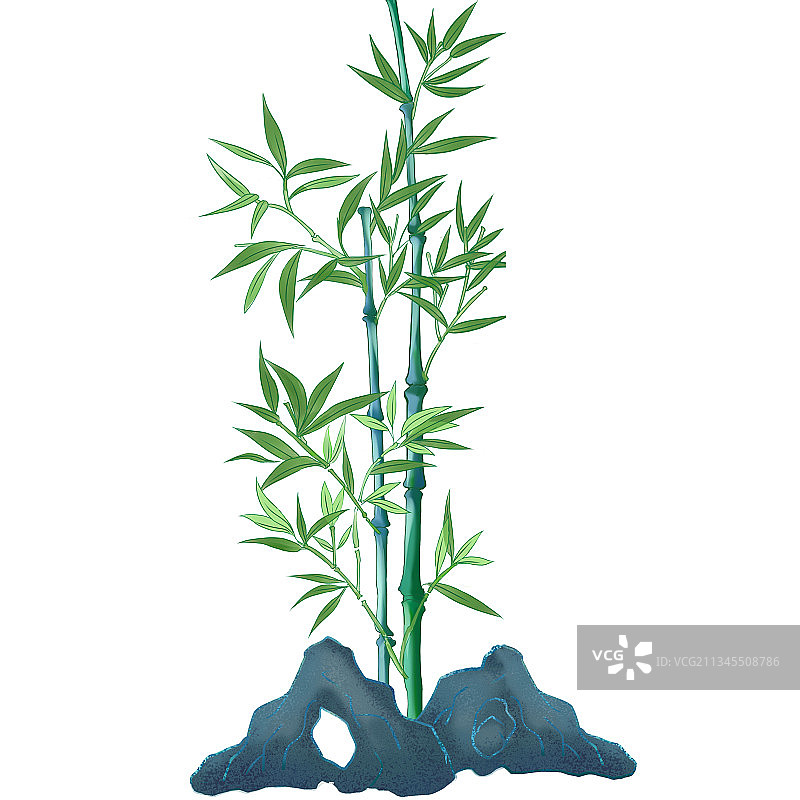 中国风竹叶插画图片素材