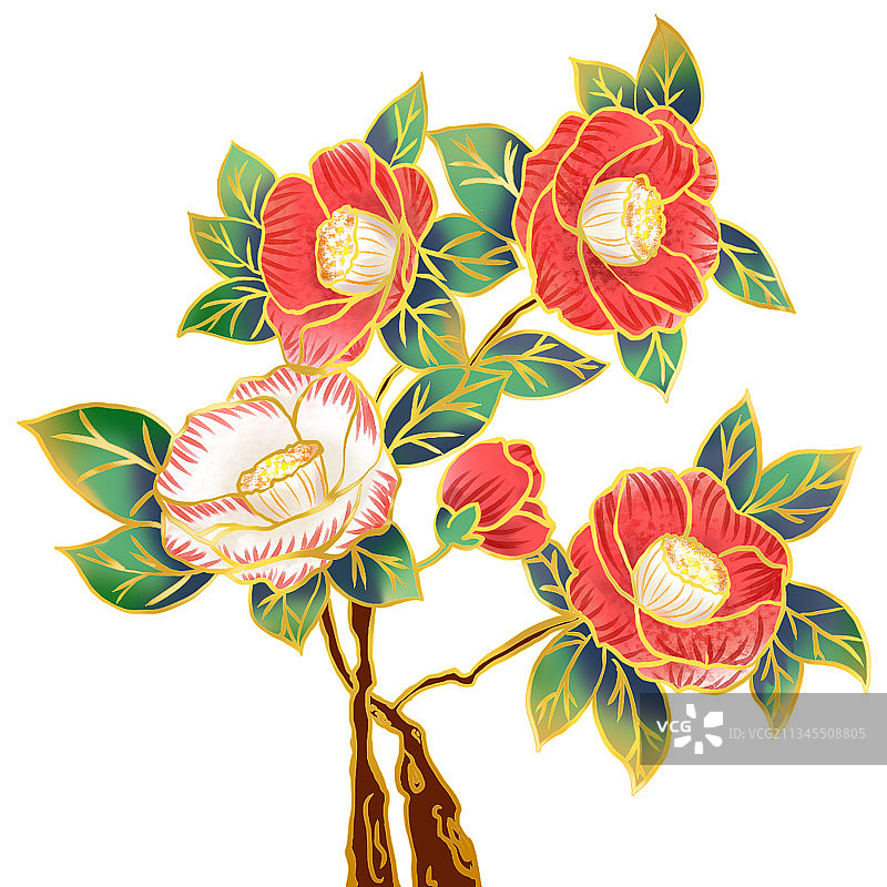 中国风花插画图片素材