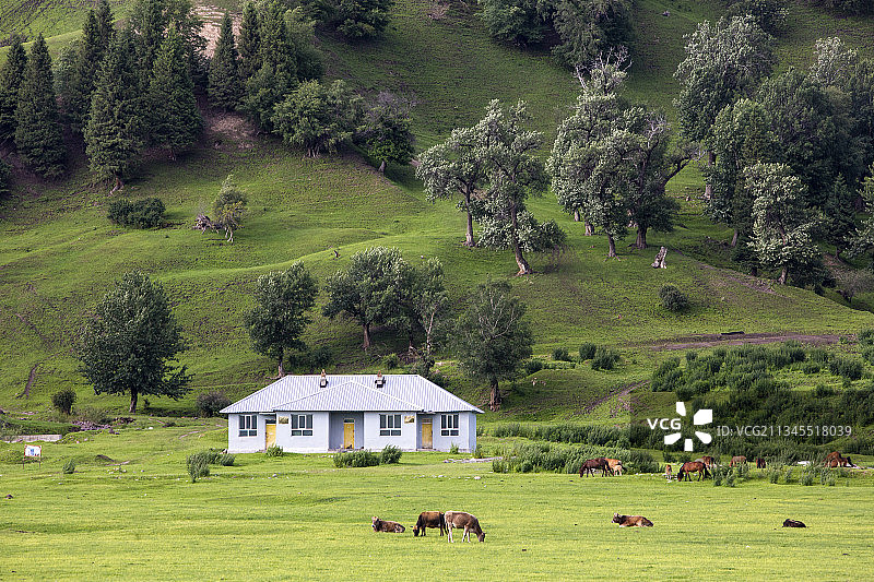 喀拉峻大草原，哈萨克牧民的家园。图片素材