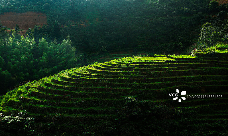 崇义梯田图片素材