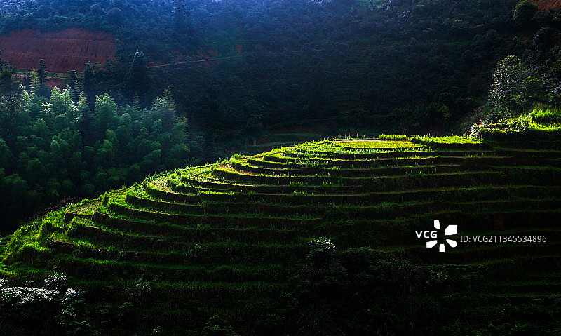 崇义梯田图片素材