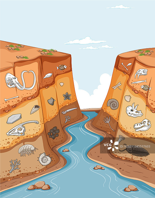 显示动物化石的土壤层图片素材