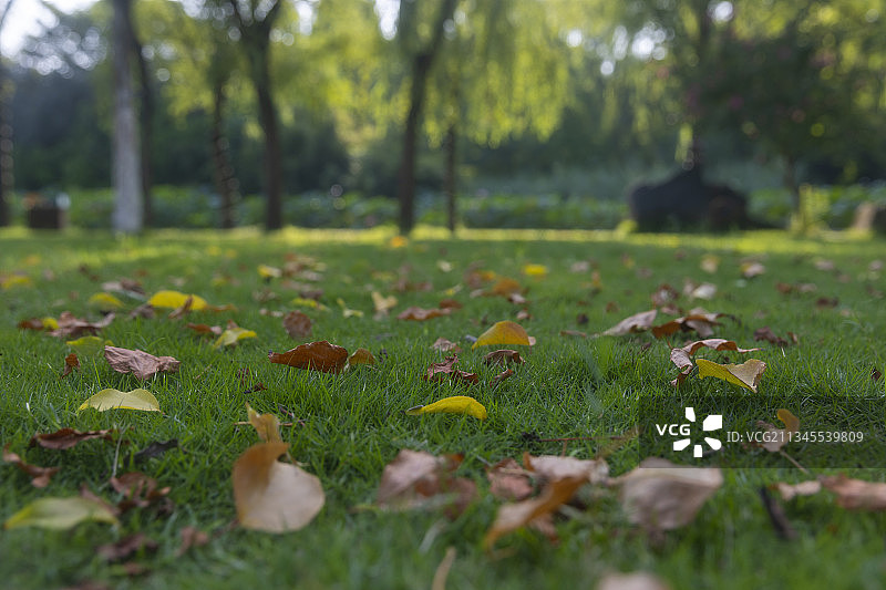 河南省洛阳市隋唐植物园图片素材