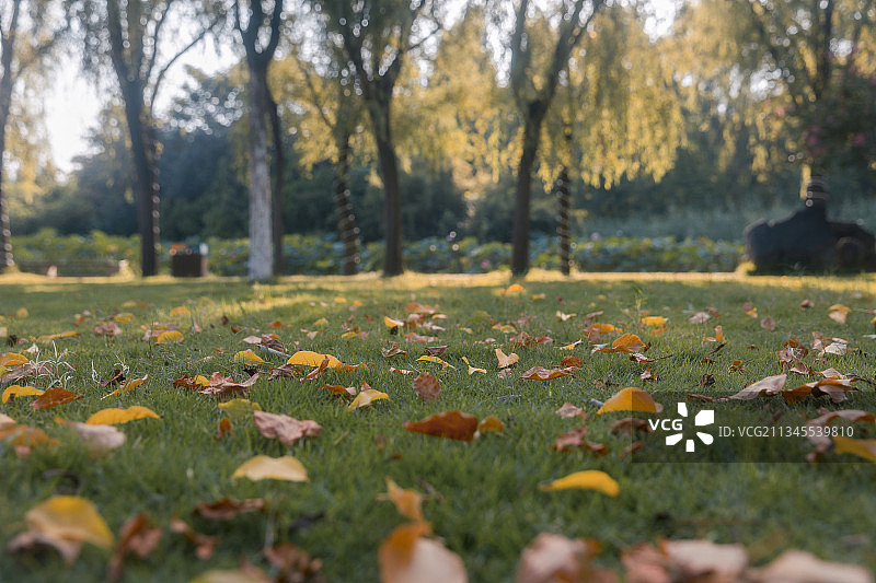 河南省洛阳市隋唐植物园图片素材