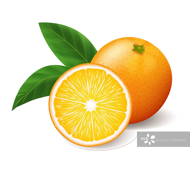 逼真亮黄色橙色与绿叶图片素材