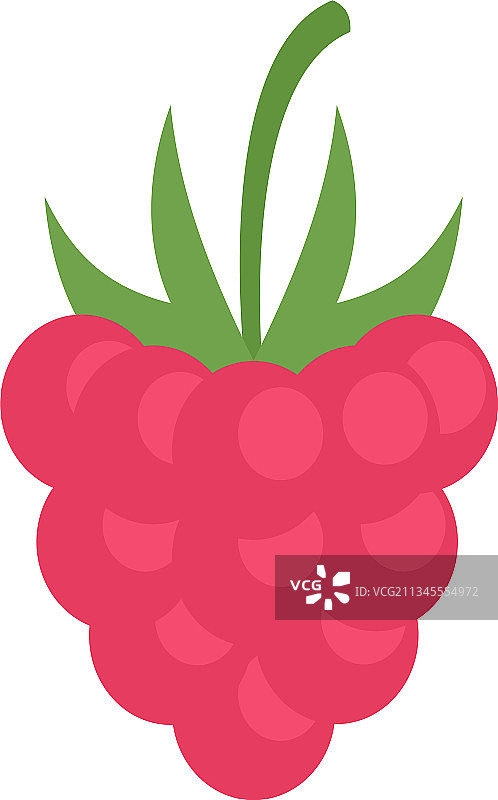 天然覆盆子图标（扁平风格）图片素材