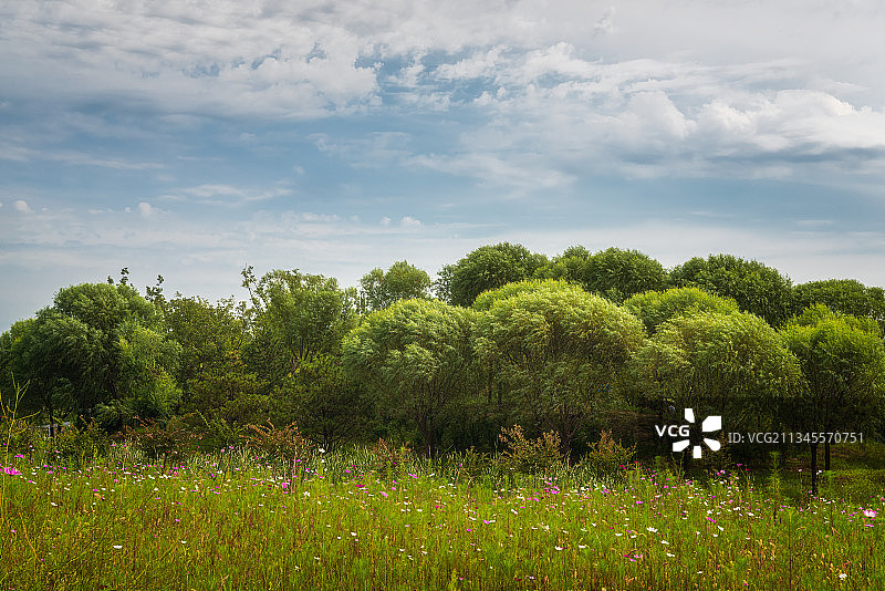 北京温榆河公园图片素材
