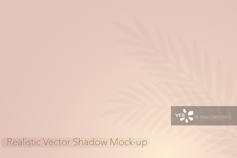 逼真的树叶阴影叠加效果图片素材