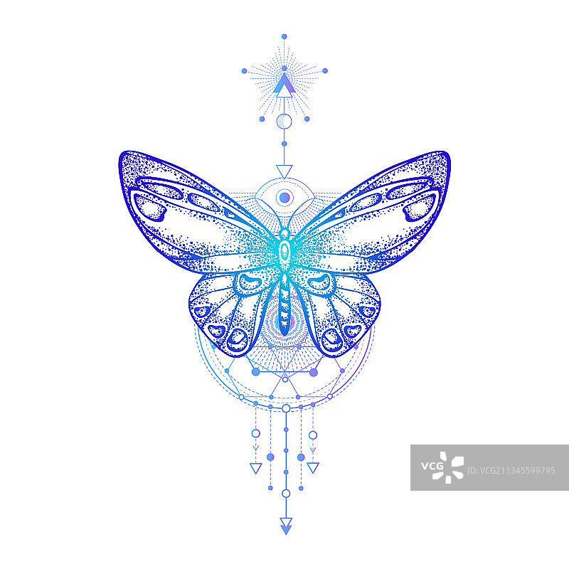 蝴蝶与几何符号图片素材