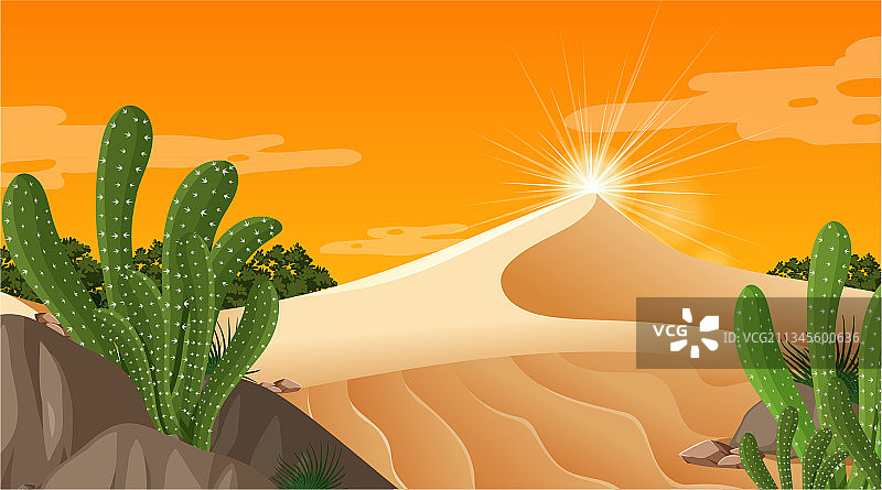 日落时分的沙漠森林景观图片素材