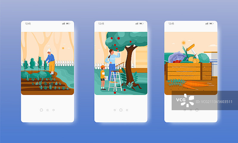 农民园丁采摘果蔬图片素材