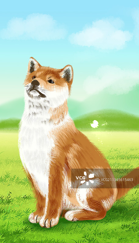 野生动物-狗图片素材