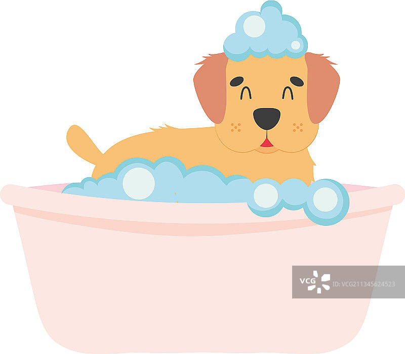 浴缸里可爱的小可卡犬图片素材