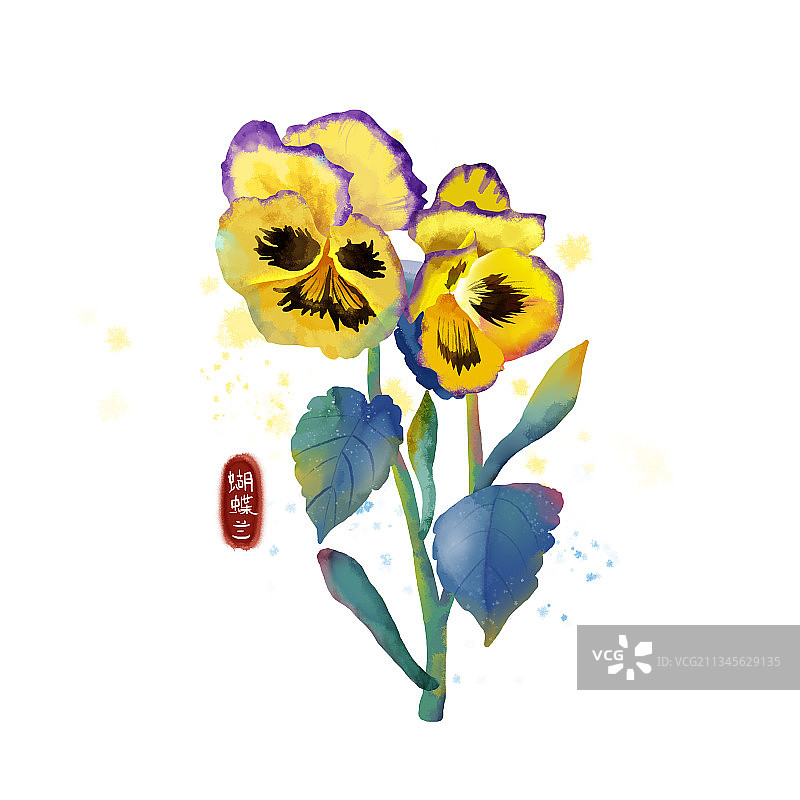 水彩风鲜花蝴蝶兰插画图片素材