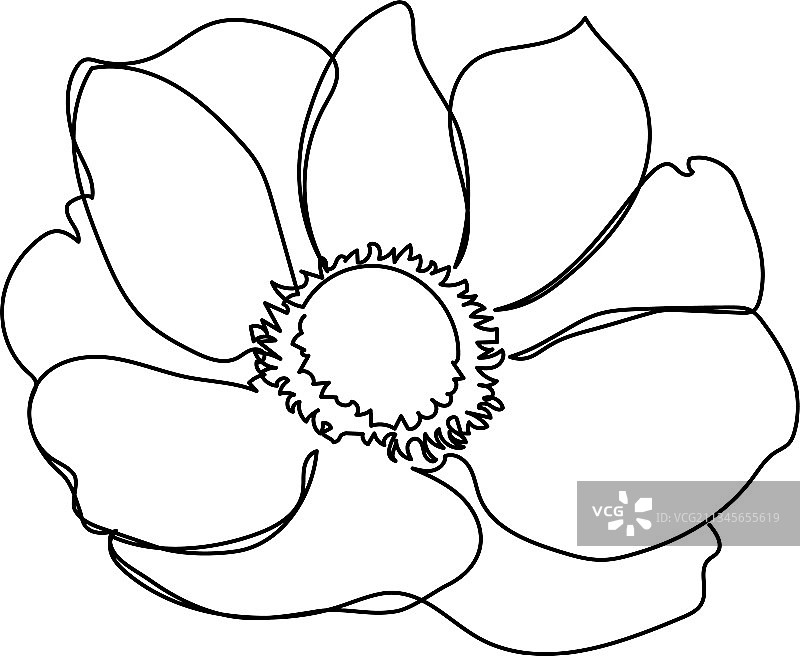 银莲花单线艺术连续线条图片素材
