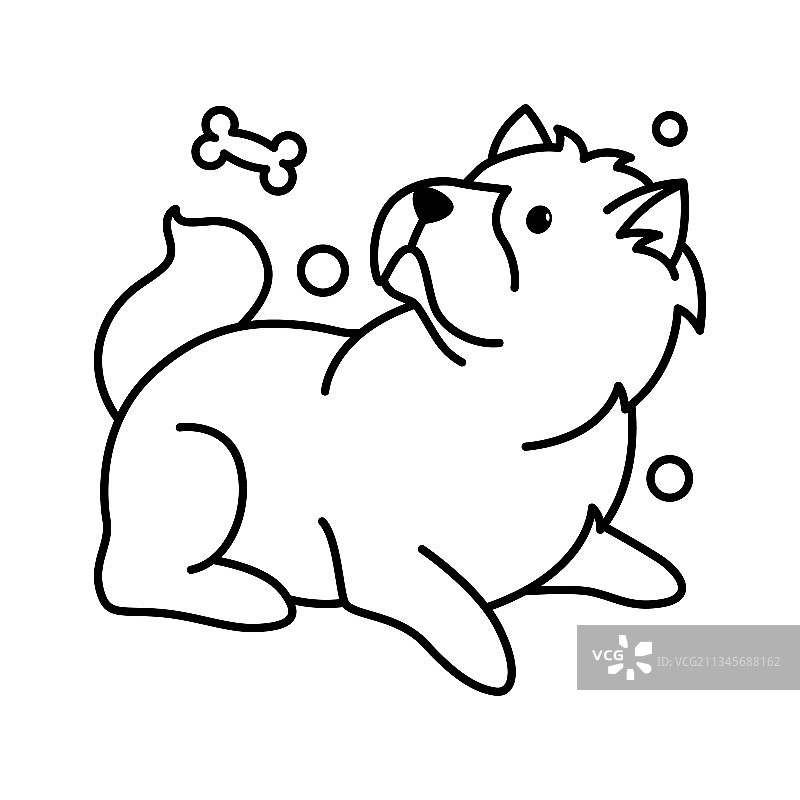 卡通松狮犬轮廓风格图标图片素材