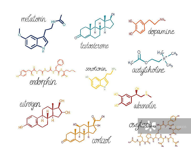 荷尔蒙图片素材