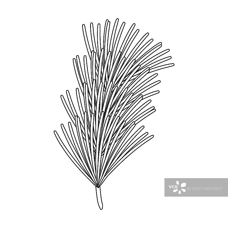 松果轮廓图标图片素材