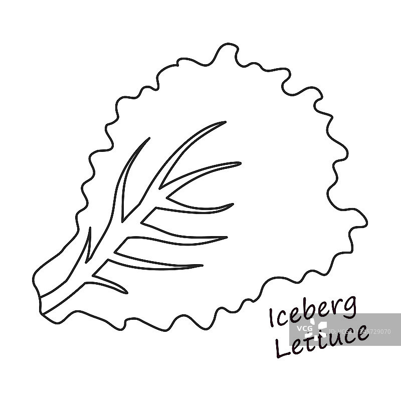 生菜沙拉轮廓图标图片素材