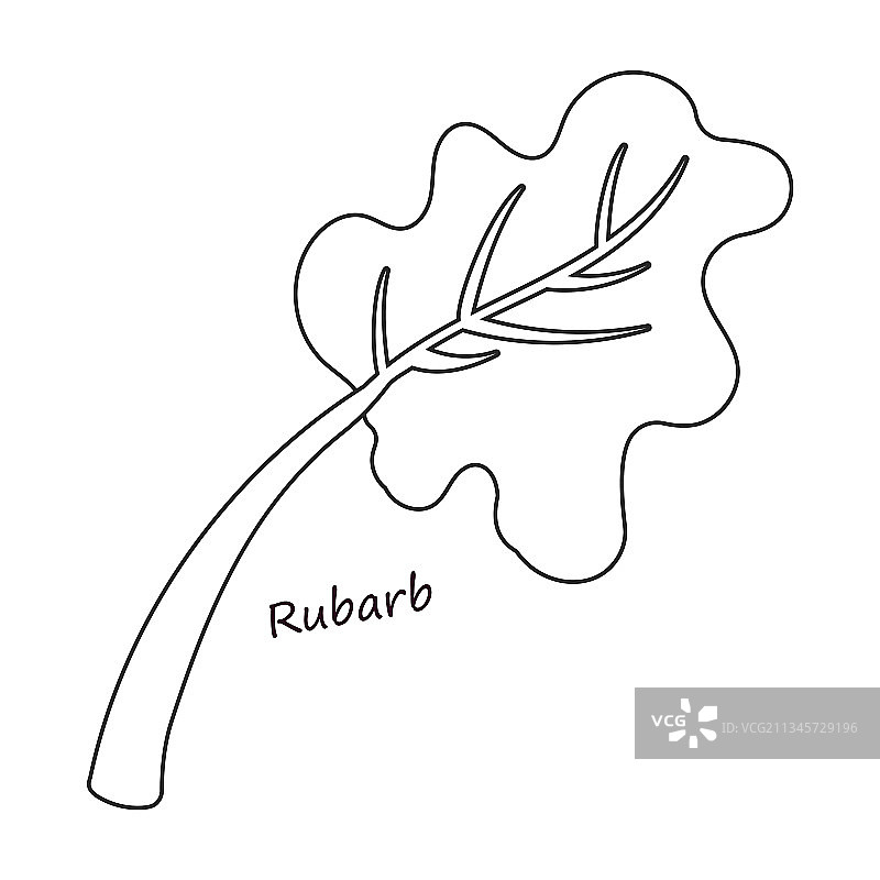 生菜沙拉轮廓图标图片素材