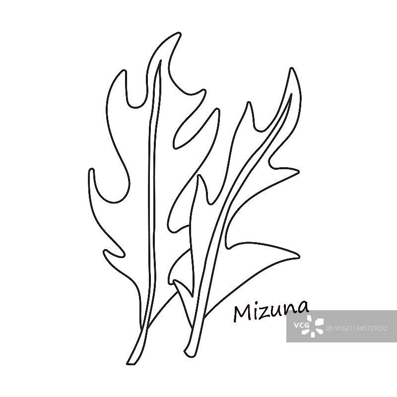 生菜沙拉轮廓图标图片素材