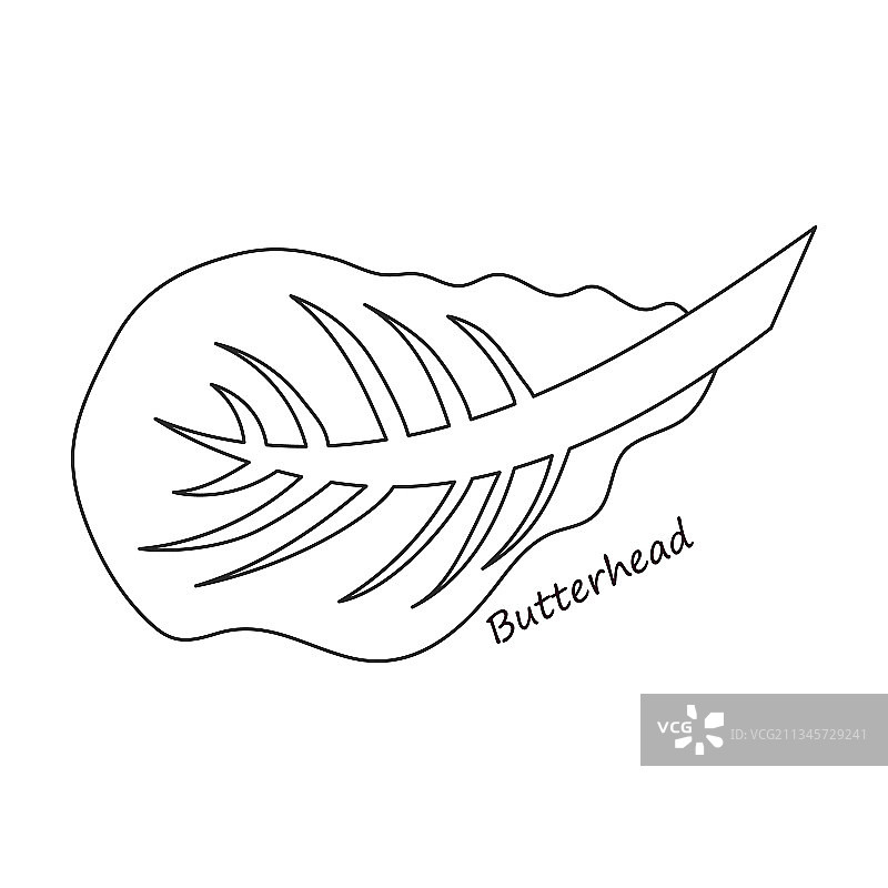 生菜沙拉轮廓图标图片素材