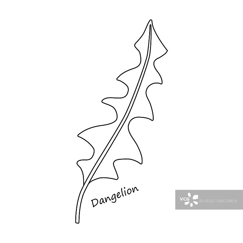 生菜沙拉轮廓图标图片素材