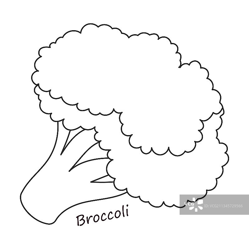 生菜沙拉轮廓图标图片素材