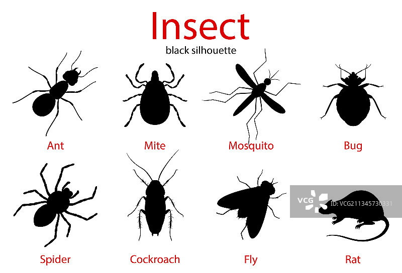 害虫防治昆虫黑色剪影合集图片素材
