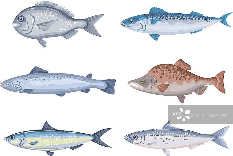 白色背景上的卡通鱼组合图片素材