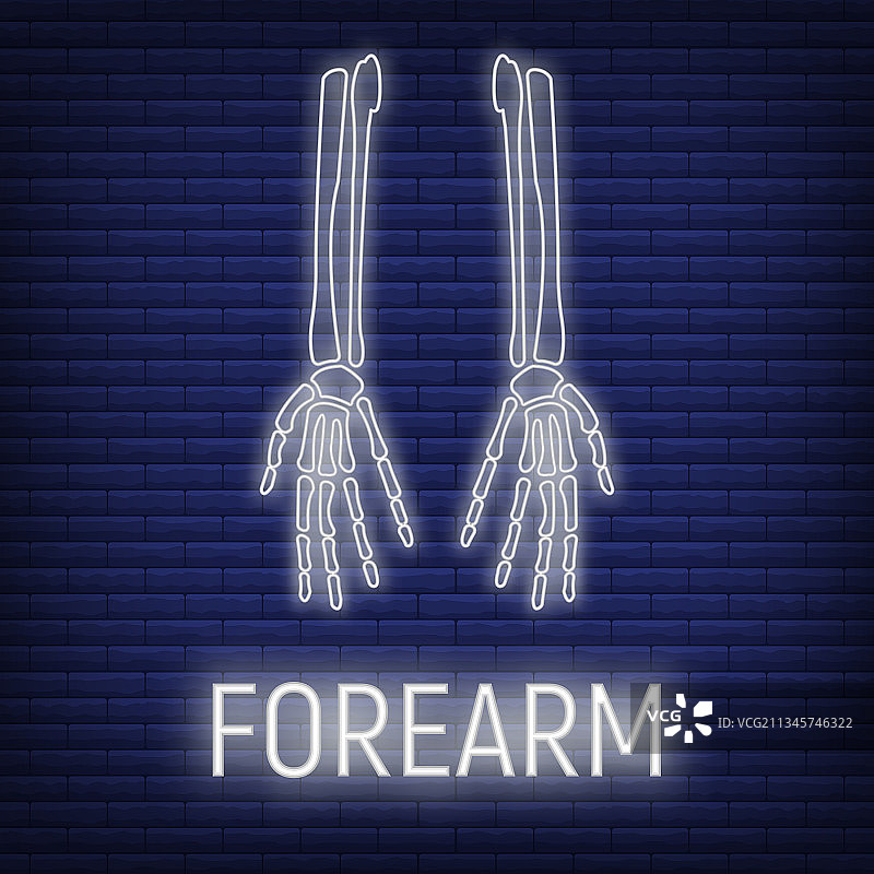 前臂骨骼霓虹灯图标概念图片素材