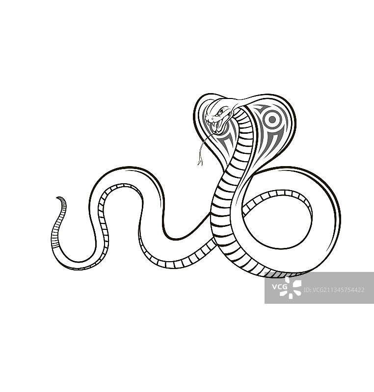 眼镜蛇部落纹身图案图片素材