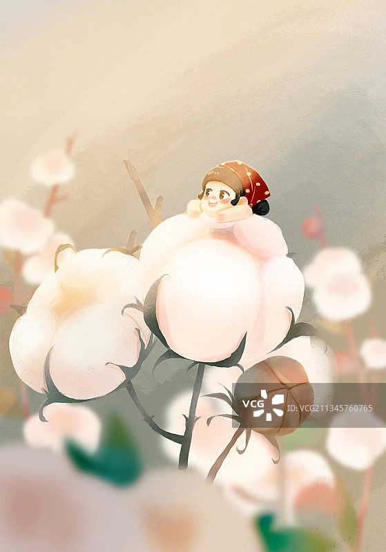 插画棉花花语图片素材