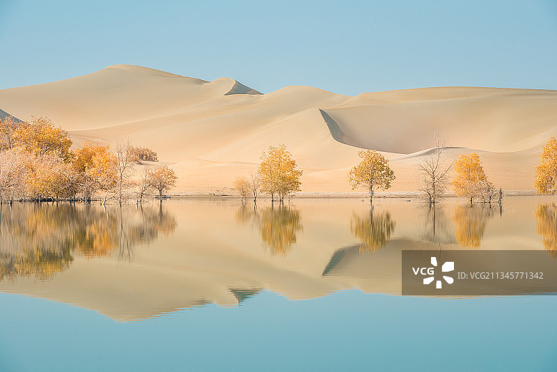 新疆轮台塔里木沙漠水上胡杨林秋色自然风光图片素材
